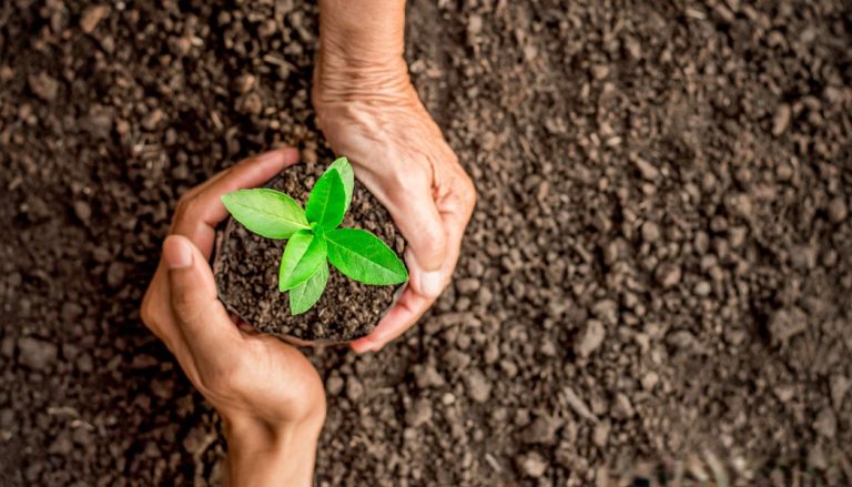 بیمه-کشاورزی