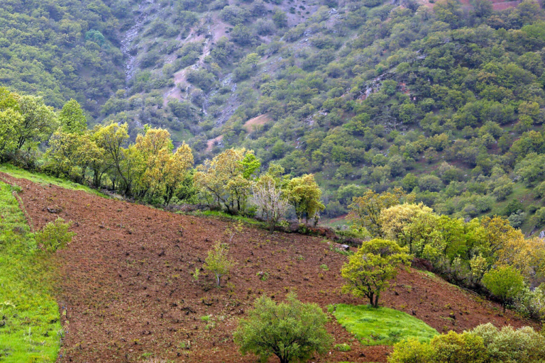 tinywow_157154917_50376316