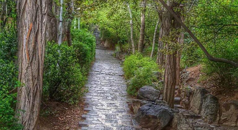 16fb267b_pic-(2)-min