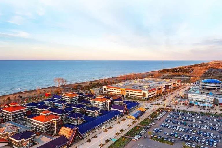 25560c8b-c741-4878-9bc9-7864c0845f74