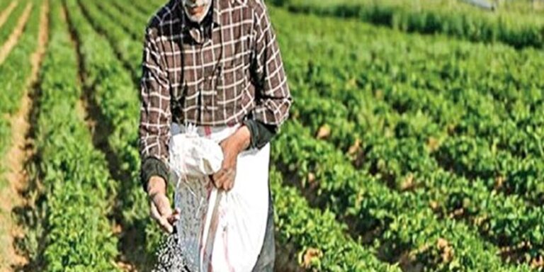 a15923dc-7940-47cf-8a73-f3f0c9212b0d_PhotoA