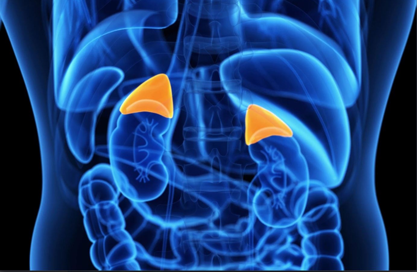 هورمون کورتیزول - درمان کورتیزول بالا