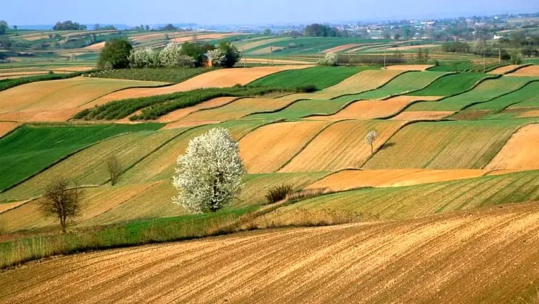 ED14E292-CEB6-4213-A11A-4380E8080065