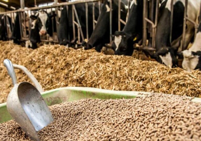 F62AD2B7-9EBC-4F2C-9AD5-5279933EADBF--0