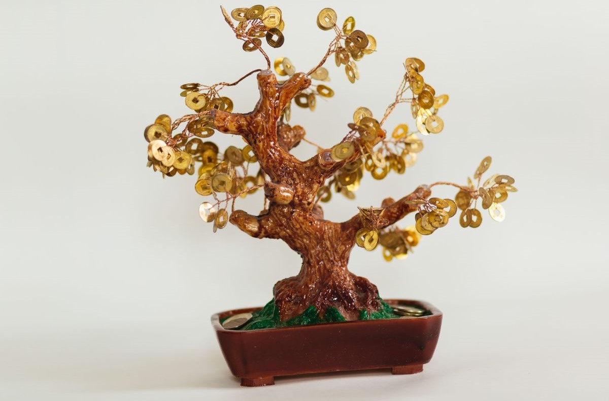 فنگ شویی - فنگ شویی ثروت