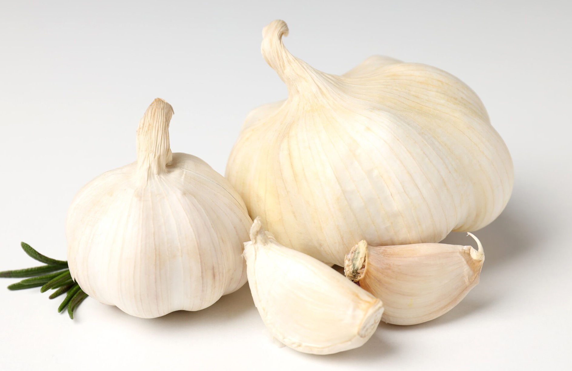 سیر - درمان دندان درد با سیر