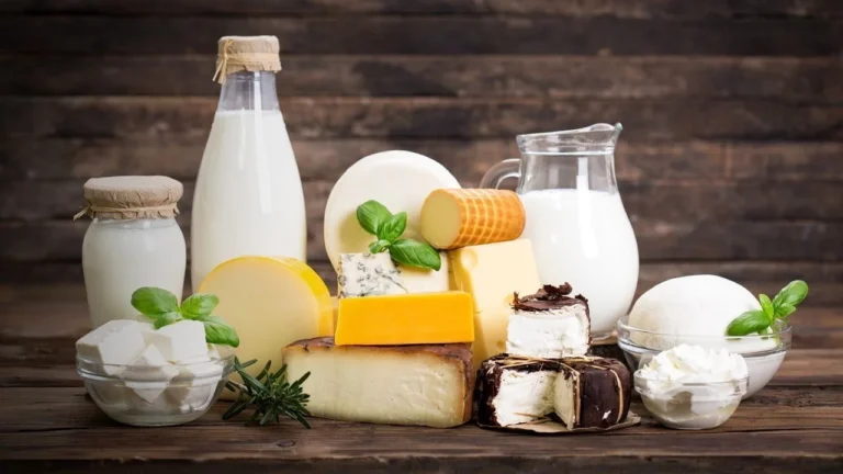 milk-dairy