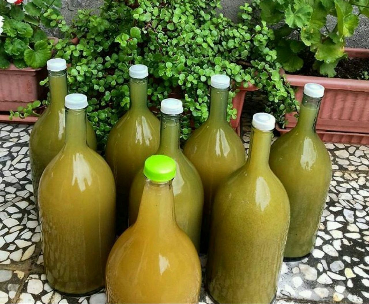 آبغوره خانگی - کپک زدن آبغوره