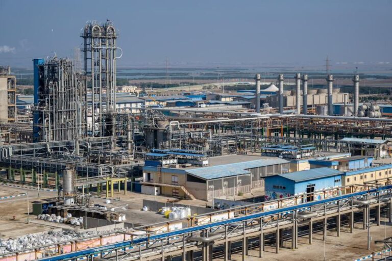 775eddeb-c6d0-420a-9548-e129e7f3d29b