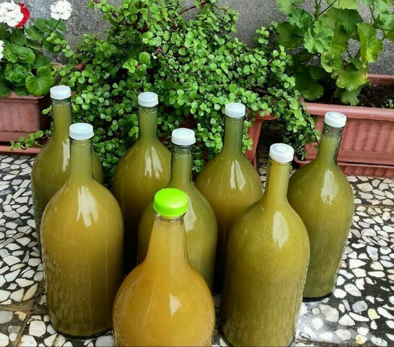 آبغوره خانگی - جوشاندن آبغوره