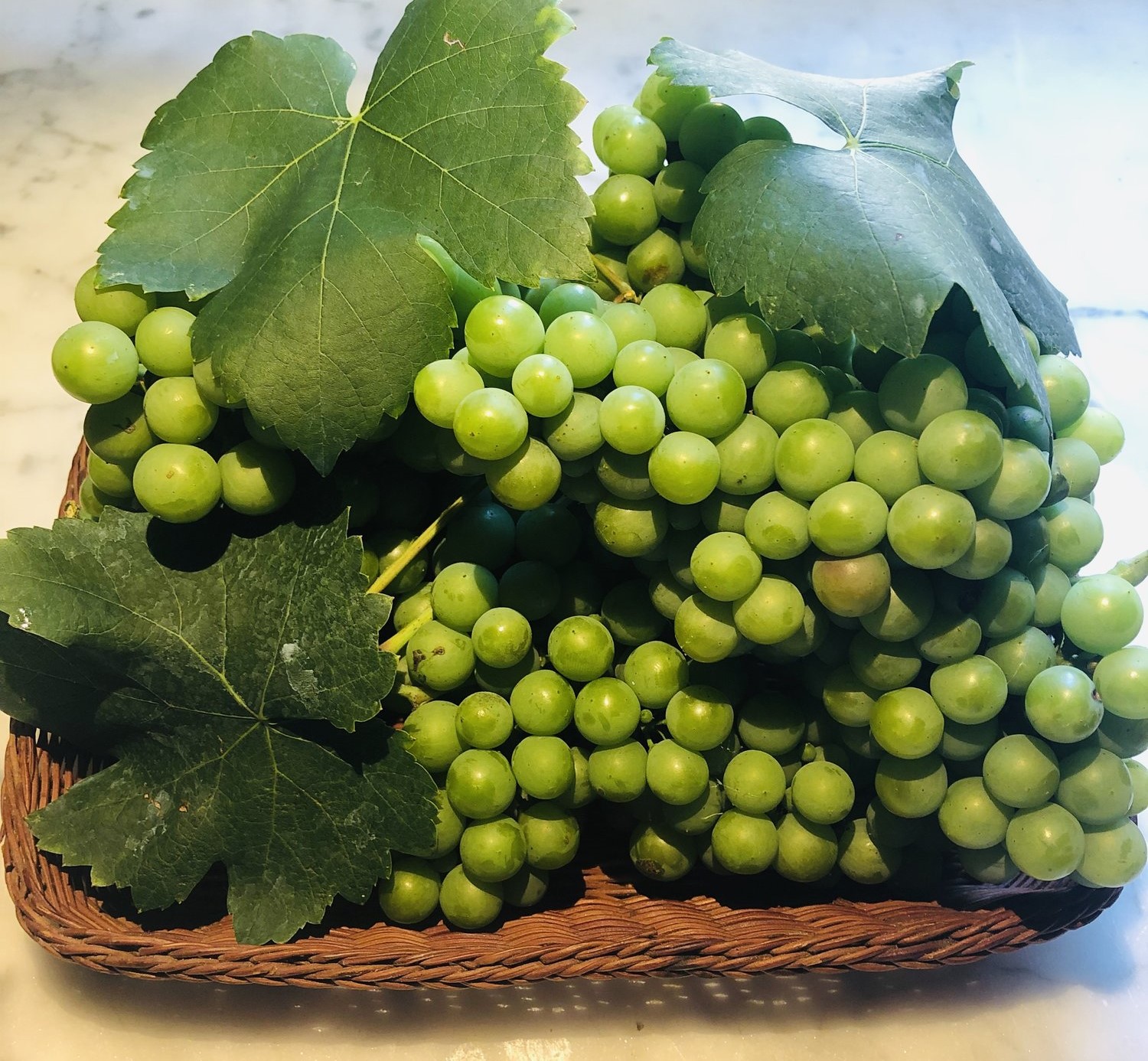 غوره عسکری - جوشاندن آبغوره