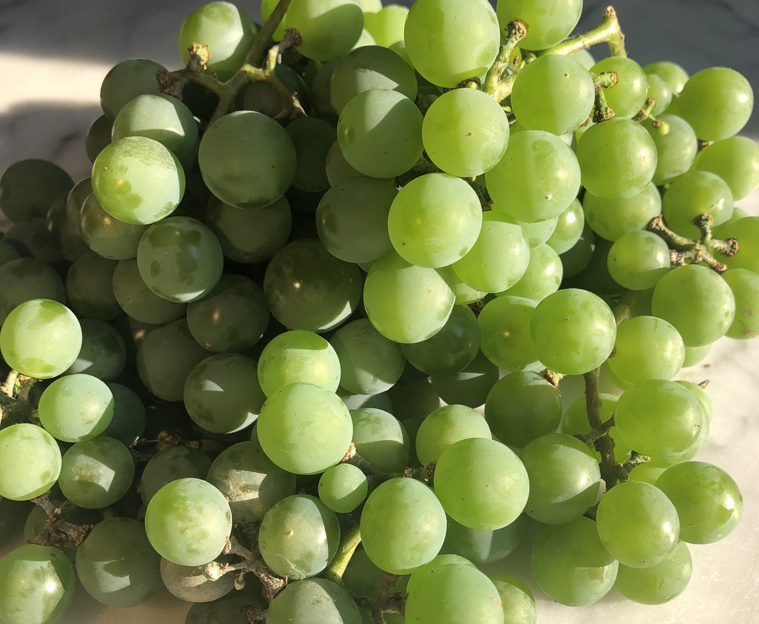 غوره - جوشاندن آبغوره