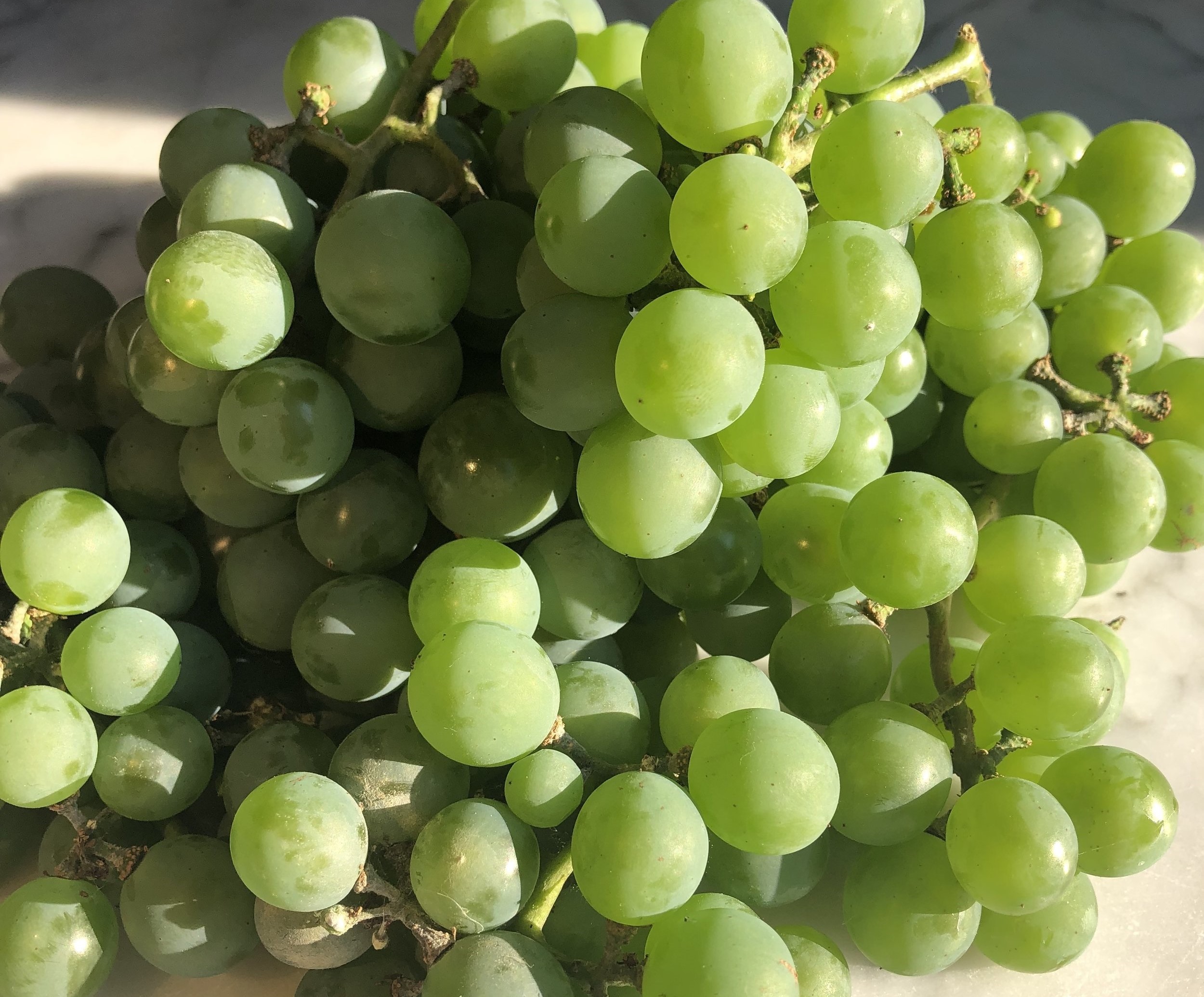 آبغوره - قرمز شدن آبغوره