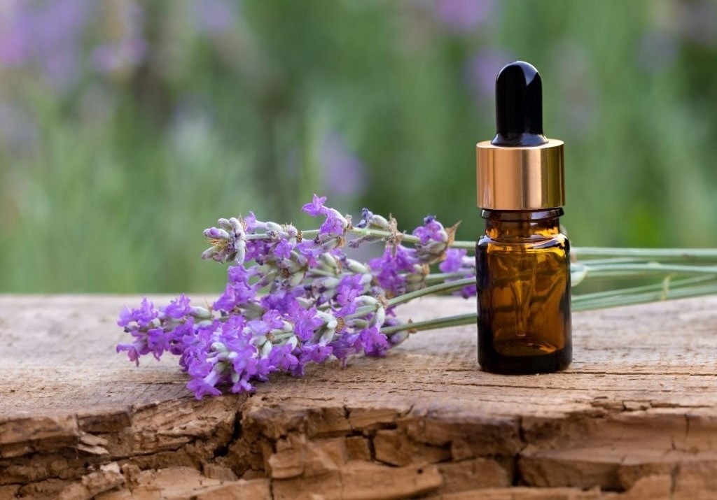 گل بنفشه - روغن گل بنفشه برای چاقی صورت