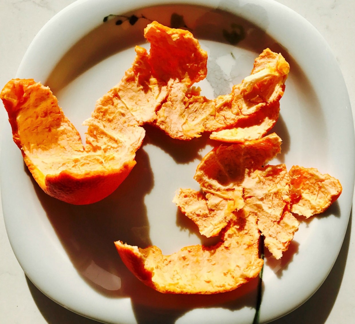 چای پوست پرتقال - خواص پوست نارنگی