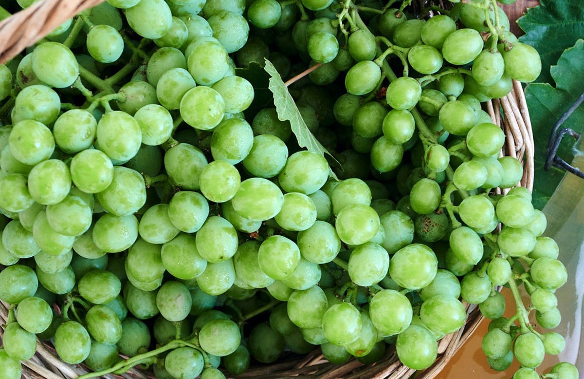 غوره - خواص آبغوره طبیعی