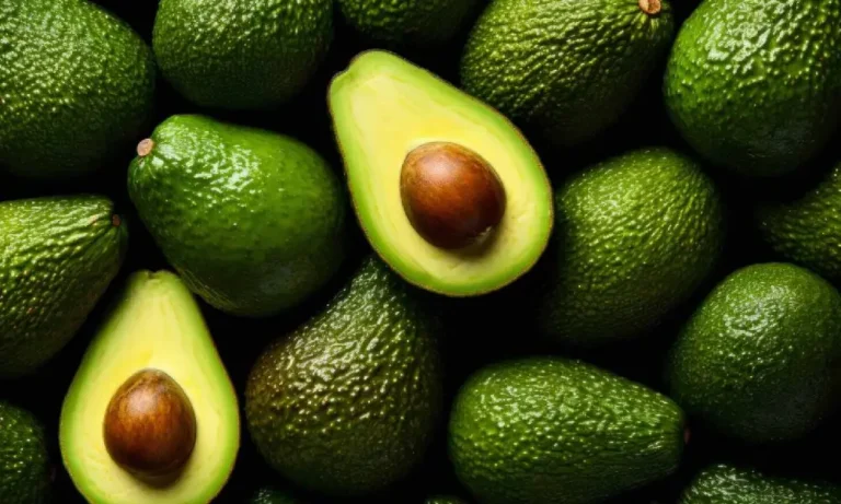 چندین آووکادو در یک قاب |خواص آووکادو