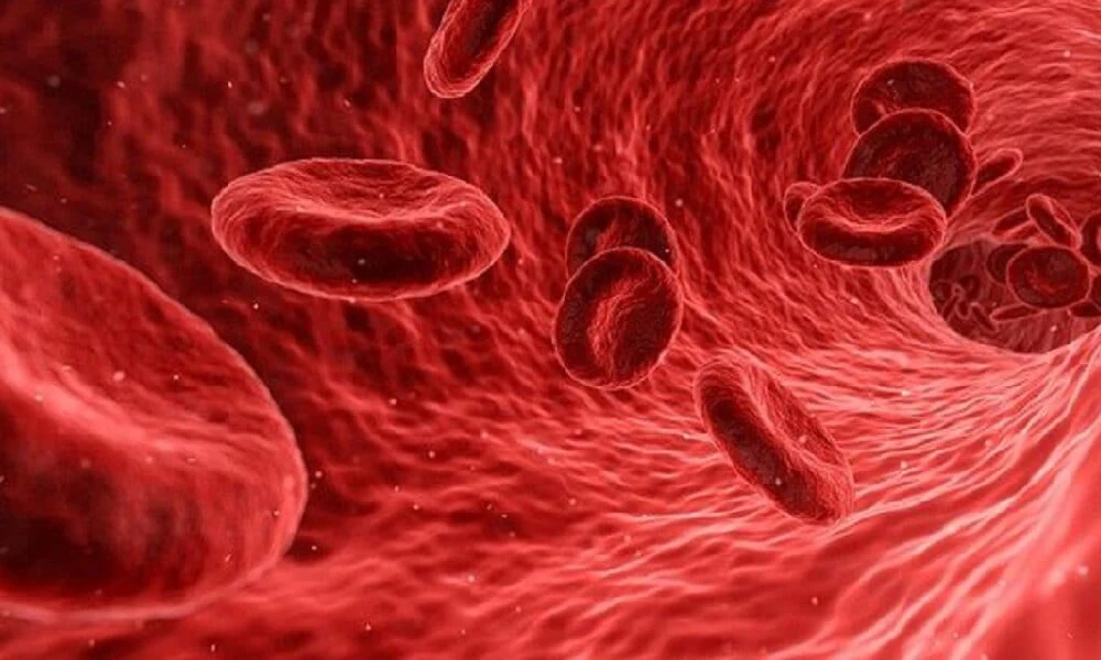 ریزش دیواره ی رحم | علائم کم خونی