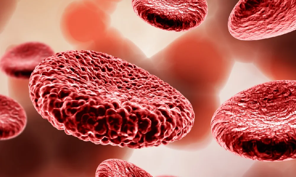 نمایی از گلبول های قرمز خون | علائم کم خونی