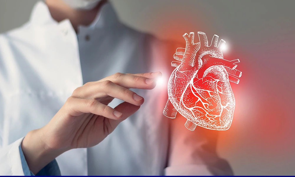 پزشکی که به یک اناتومی قلب اشاره میکند | جلوگیری از سکته قلبی