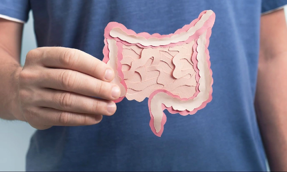 فردی که آناتومی دستگاه گوارش انسان را در دست دارد | علت تیرگی مدفوع