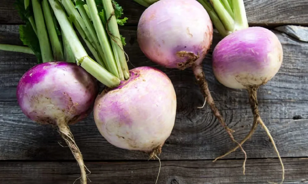 شلغم برای سرماخوردگی | چند شلغم با ریشه روی یک میز چوبی