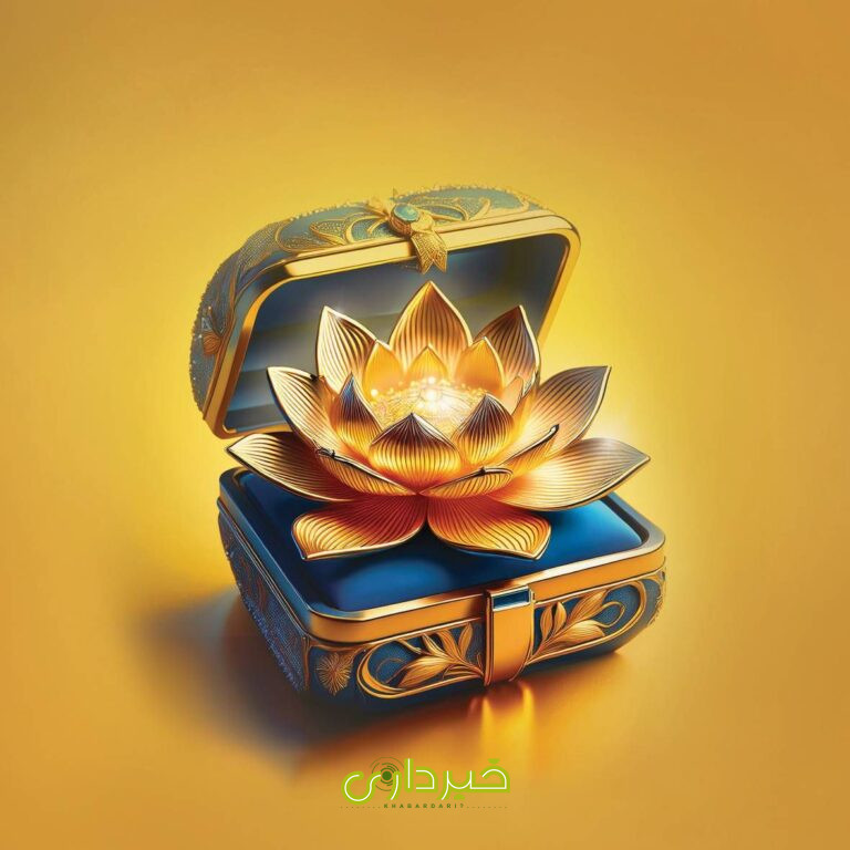 photo_2024-12-18_12-30-10_p36z