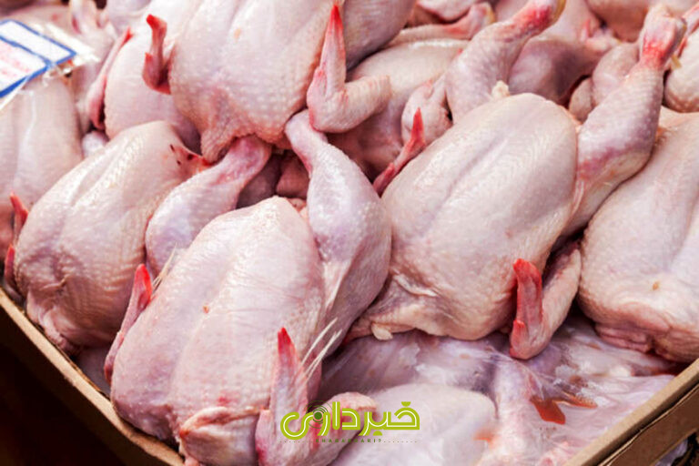 +مرغ