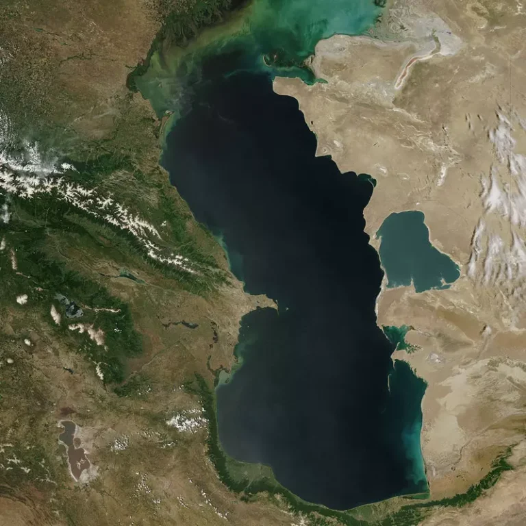 9f39491e-9391-4baf-9934-38ccdc4c480a