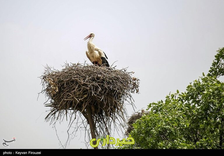 0ae6f33c-e910-4942-9d40-156a246f9c06