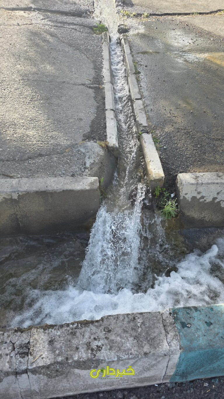 WhatsApp Image 2025-05-20 at 14.25