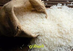 1402101110444689129103084