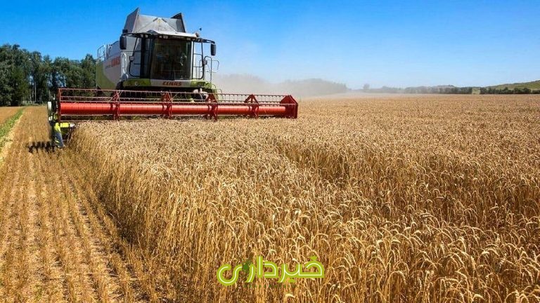 +برای+خبر+کشت+قراردادی+در+آذربایجان+شرقی+copy