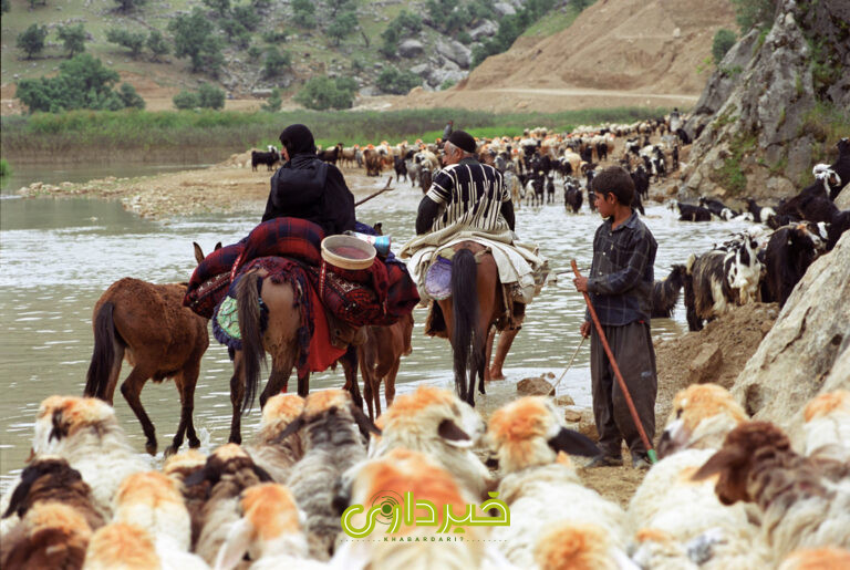 Dalankuh-Qamishlou_BR_Iran_Hasan Moghimi_4