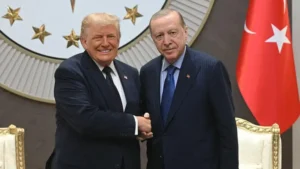 87a85bb4ZjoyNTU2NTA1LndlYnB8ZnVpOjI0NDQ4NjB8bDpmYXx2OjE