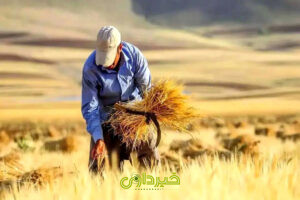 _کاران